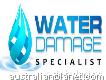 Water Damage Specialist