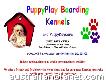 Puppyplay Boarding Kennels