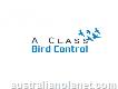 A Class Bird Control