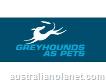 Greyhounds As Pets