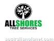 Stump Grinding North Shore - All Shores Tree Services