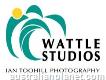 Wattle Studios