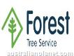 Forest Tree Service Pty Ltd