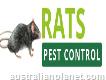 Rats Removal Perth
