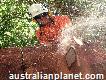 Plumb Trees -all Tree Pruning Cutting & Removals All areas in Sydney