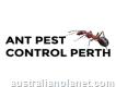 Ants Control Perth