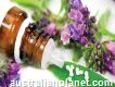 Find the best Homeopathy Treatment in Mitcham