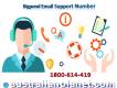 Contact Experts 1-800-614-419 Bigpond email support number