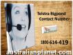 How To Troubleshoot glitches Dial 1-800-614-419 Telstra bigpond contact number - South Australia