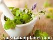 Buy Herbal Products at Affordable Cost