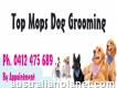 Top Mops Dog Grooming