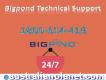 Call At 1-800-614-419 For Quick Bigpond Technical Support