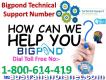 Dial 1-800-614-419 Bigpond Technical Support Number Email Problems- Queensland