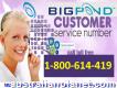 Excellent Services 1-800-614-419 Bigpond Customer Service Number- Gosford