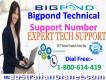 Obtain Help At 1-800-614-419 Bigpond Technical Support Number- Riverina