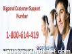 Efficient Support 1-800-614-419 Bigpond Customer Support Number