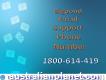 Reach To 1-800-614-419 Bigpond Email Support Phone Number