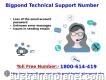 Easy Assistance Dial 1-800-614-419 Bigpond Technical Support Number