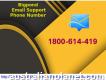 1-800-614-419 Bigpond Email Support Phone Number Guidance