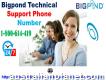 Bigpond technical support number- Enthusiastic Experts