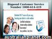 Online-support Dial 1-800-614-419 Bigpond Customer Service Number