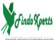 Findo experts classified