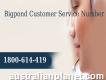 Live Service Number 1-800-614-419 Bigpond Customer Help