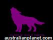 Purple Wolf Digital - Web Design and Marketing Services