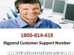 Support Number 1-800-614-419 Acquire Bigpond Customer Services