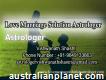 Love Marriage Solution Astrologer - Pt. Vishwanath Shastri - +91-9649133663