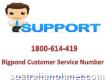 Password Recovery 1-800-614-419 Bigpond Customer Service Number
