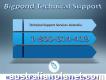 Take Effective Technical Support1-800-614-419 Resolve Bigpond Hiccups