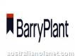 Barry Plant Healesville