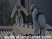 Best Fencing Company in Kelmscott, Wa-asbestos Removal Services in Vic Park