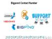 Get Support At 1-800-614-419 Bigpond Contact Number