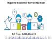 Proper Solutions 1-800-614-419 Bigpond Customer Service Number