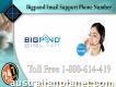 Password Reset 1-800-614-419 Bigpond Email Support Phone Number