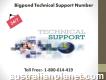 How To Contact 1-800-614-419 Bigpond Technical Support Number