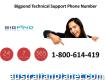 Technical Support Expert Phone Number 1-800-614-419 Bigpond