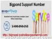 Bigpond Support Number 1-800-980-183 Stay Away From Issue