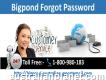 Bigpond Forgot Password Dial Toll-free Number 1-800-980-183