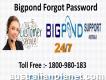 Recover Bigpond Forgot Password Dial 1-800-980-183