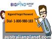 Rapid Service to Fix Bigpond Forgot Password 1-800-980-183
