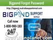 Bigpond Forgot Password 1-800-980-183 Failed To Login