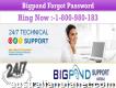 All-time Active Bigpond Forgot Password Team 1-800-980-183