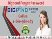 Bigpond Forgot Password Toll-free Number 1-800-980-183 Is Active All-time