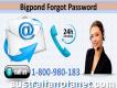 Forgot Bigpond Password and Need to Improve? Dial 1-800-980-183