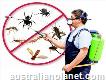 Pest Control service at lowest price