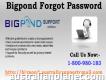 Reset Bigpond Forgot Password Issue Toll-free Number 1-800-980-183
