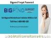 Bigpond Forgot Password 1-800-980-183 Recovery Account